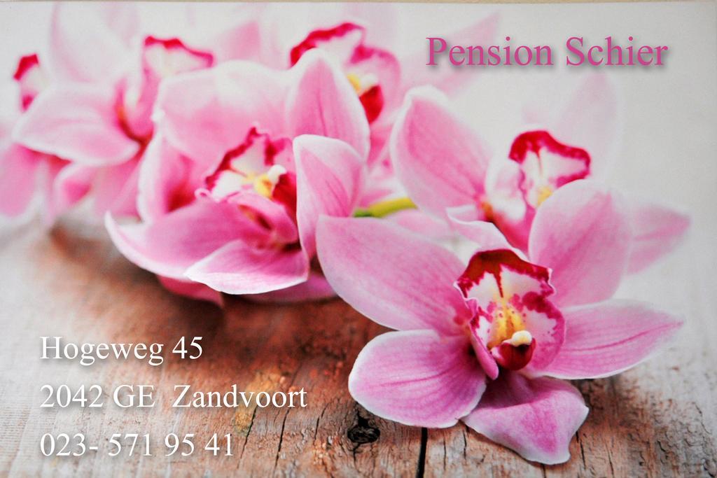 Pension Schier Зандфорт Экстерьер фото